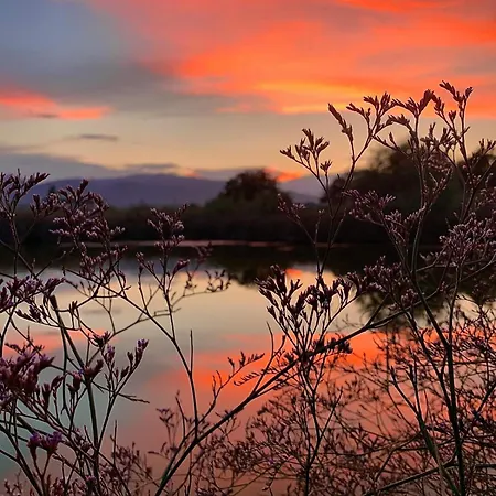 Strandhaus Am Olymp Néa Meságkala